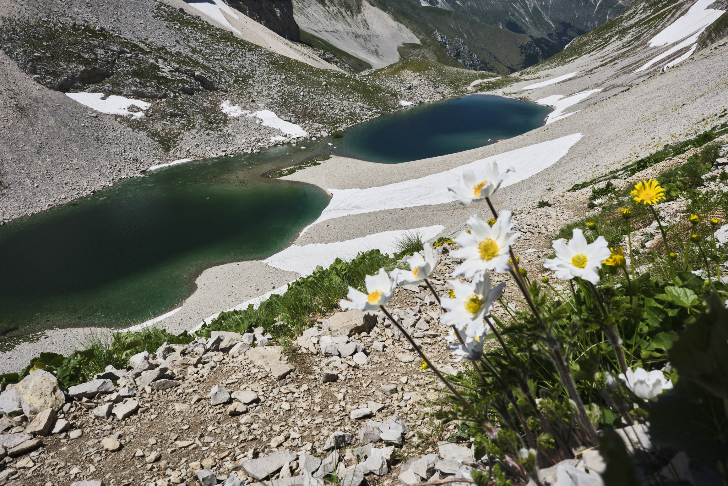 image #15