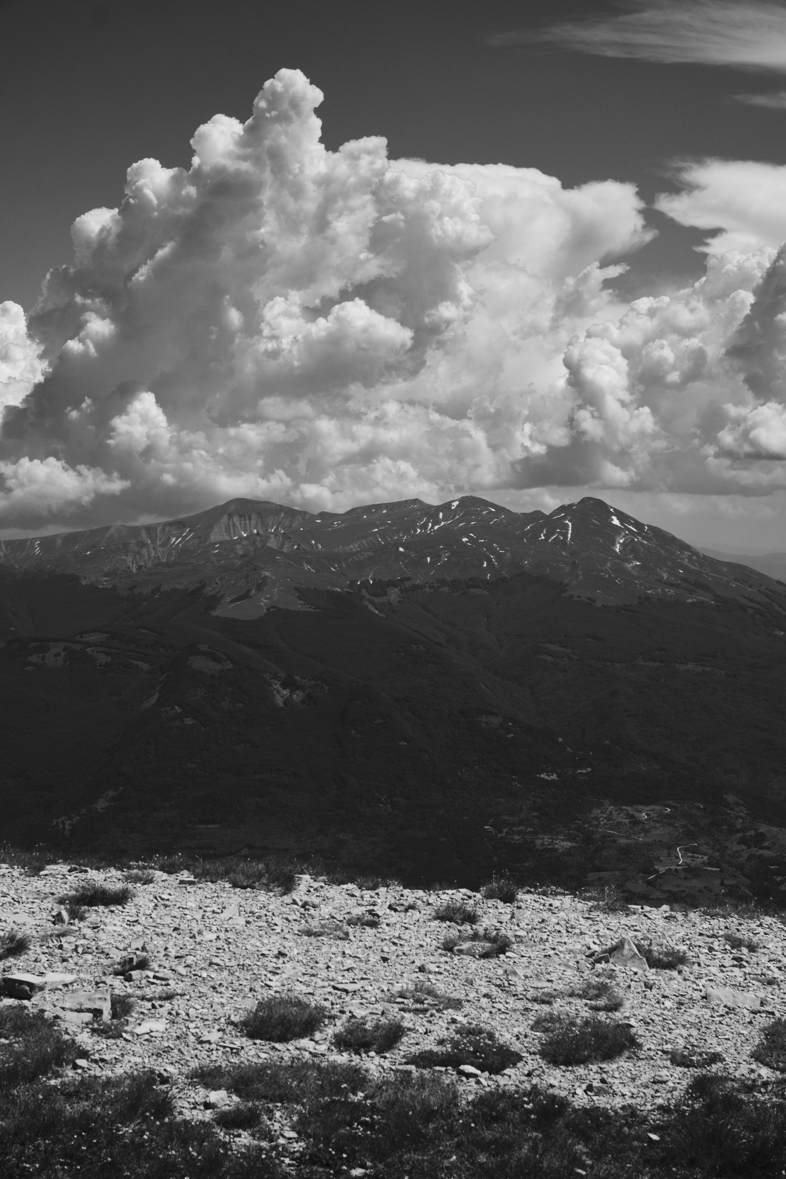 image #26